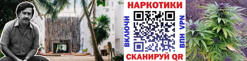 Купить Нерехта Галлюциногенные грибы  СОЛЬ  Меф  ГАШ  Амфетамин 