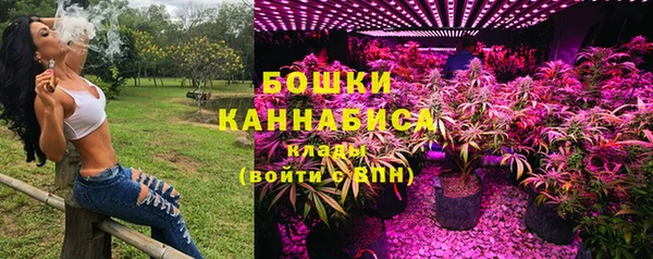 сатива Балабаново